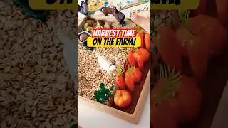 Harvest time on the farm!  #diy #kidsactivities #sensoryplay