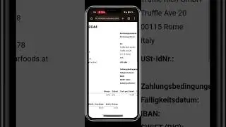 Rockstar CRM (de): Procure To Pay + Order To Cash (Handy)