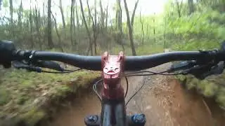 YT Capra AL 27.5 at Stillwell Woods MTB trail Long Island, NY