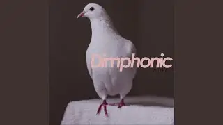 K Drama