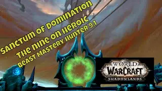 Beast Mastery Hunter 9.1 The Nine in the Sanctum of Domination on Heroic.