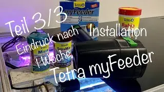 Tetra myFeeder | Installation | F&uuml;tterung | Eindruck nach 1 Woche | Teil 3/3
