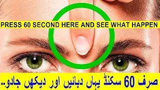 Press Here for 60 Seconds and See What Happens, In Urdu/Hindi ||By Reveal Point