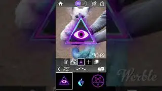 Three eyes cat effects in werble