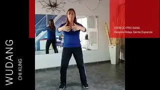 #chikung - WUDANG II - 7 Primeros Movimientos