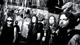 My top 20 black metal bands.