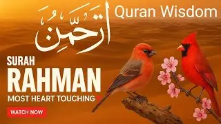 Surah Rahman Heart Touching Quran Recitation 💖 II Soothing Voice II to Calm Your Soul