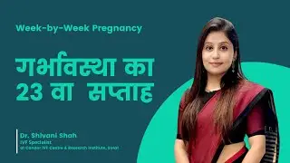 23rd Week Pregnancy | 23वें सप्ताह की गर्भावस्था | Pregnancy week by week | Dr.Shivani Shah