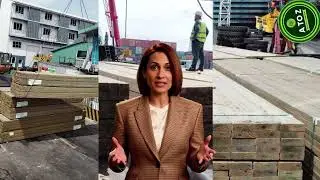 Low-Risk First Shipment Program | Timber Buying Made Safe | AtoZ Wood Company