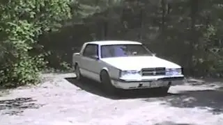 Dodge Dynasty