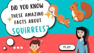 WHAT ARE SQUIRRELS? 🐿️ FUN AND QUICK FACTS FOR KIDS