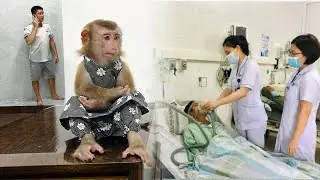 Monkey Tina was sad when she learned about her father's health condition.