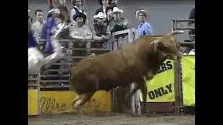 Yellow Jacket bucks Scott Mendes - 97 BRO Tacoma