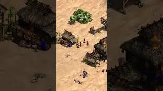 So I Got Wood Starved in AoE2...