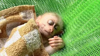 We held our breath when we saw this image of the baby kaki monkey.
