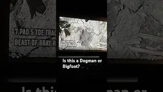 Bigfoot and Dogmen in the Pine Barrens? SJS #bigfoot #dogman #pinebarrens  #cryptids