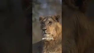 @SaraKhan-t9u  Sab janta hu mujhe fhir rulaogi isliye ab tab hi jab itna Qabil