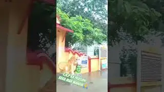 Jharkhand ke C.K.P gram ka manmohak kera maa mandir #sonuvlogs123 #jsr #journey #shots_video