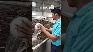 HRT in RAS how to calculate? need? #aquaculture #ras #water #fish #hydraulic #shorts #system#farming