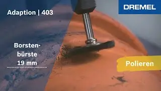Dremel&reg; - Borstenb&uuml;rste 19 mm (403)