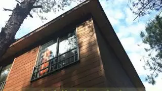 wpc wooden house