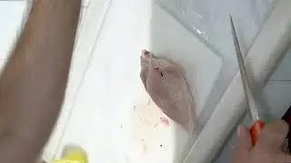 En Kısa Yoldan Tavuğu Izgaralik Parçalama 