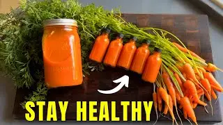 🍊🥕Anti-Inflammatory, Immune Boosting WELLNESS SHOTS | Fight Illness & Stay Healthy
