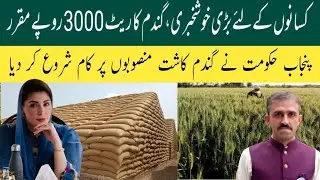Breaking: Rs. 3000 Support Price for Wheat in 2026 | Punjab Govt&rsquo;s Bold Step ll Nawaz Sangra