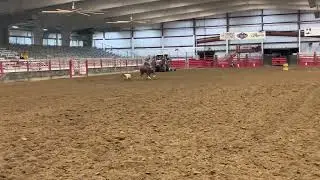 Dash Ta Fame Bardell Barrel Blast Torrington, WY