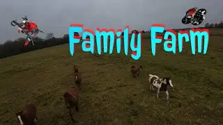 DJI FPV[  Family Farm