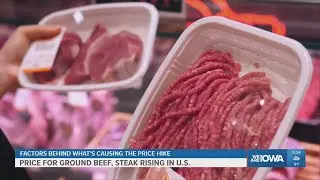 Experts explain why US consumers are seeing record beef prices.