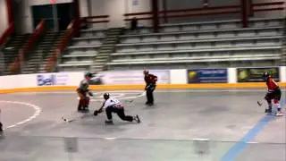 HawkZ Hockey