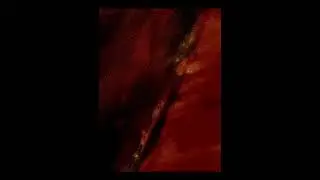 Osirus Jack Type Beat 