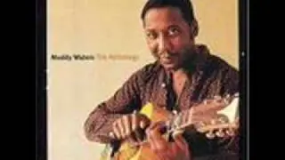 Muddy Waters - Louisiana Blues