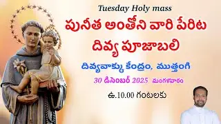 Rev.Fr. Sijo SVD  | 30-12-2025 | Tuesday Holy Mass in Telugu | Divine Word Centre,Muthangi |
