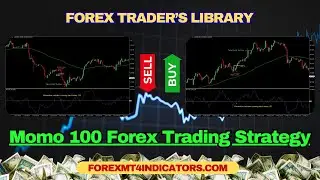 Momo 100 Forex Trading Strategy