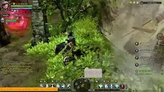 abis reset gas NEST | DRAGON NEST SERENCIA SAGA MAYA