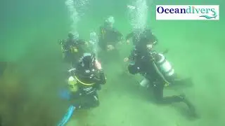 PADI DIve master Course with Oceandivers Ireland