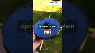Easiest Solar Fountain for Birds on the Internet! Part1 Link in Description! #solarfountain