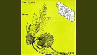 Soundscape 5