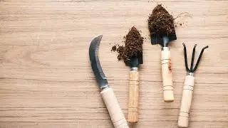 Best Gardening Tools 2023 - Top 10 Essential Tools For Flourishing Garden - Consumer Buying Guide