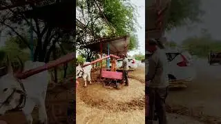 Old method of Nashik to crush sugarcane #travel #nature #love #mountains #rain #weather #monsoon