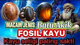 KISAH !! MISTERI BATU AKIK FOSIL // KAYU SETIGI PALING SAKTI