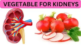 Vegetables for Kidneys Health: Superfoods for Kidney Function