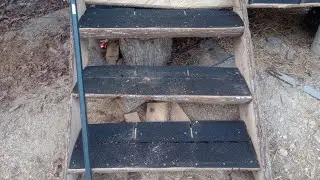 Feed room steps and collecting eggs 