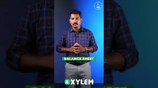 എന്താണ് Balance Sheet ? - Let's Learn Commerce | Xylem Plus One Commerce