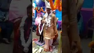 amar dadar wedding reception #shortsvideo #stats #wedding