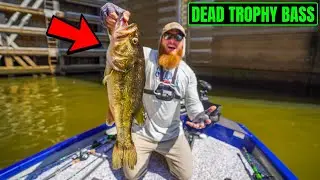I DID NOT Want to Find THIS While Fishing (MAJOR Boat Upgrades!!)