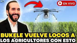 BUKELE VUELVE LOCOS A LOS AGRICULTORES CON ESTO - EL SALVADOR NOTICIA