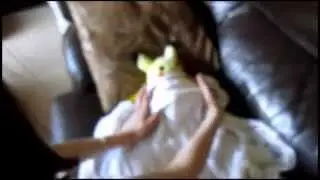 Stonehenge Amature Music Video